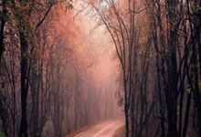 火箭惨遭横扫，遭遇窘境