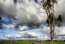 曝杨瀚森选秀当天会到纽约 林葳锁定夏联资格