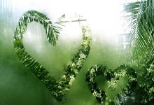 76人队续约埃迪斯一年360万