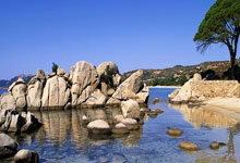 哈利伯顿14+5亚历山大21分 步行者胜雷霆总决赛进抢七